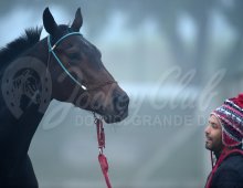 09.07 Corridas &raquo; 09.07 Corridas &raquo; Matinal 120624